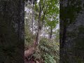 channel
