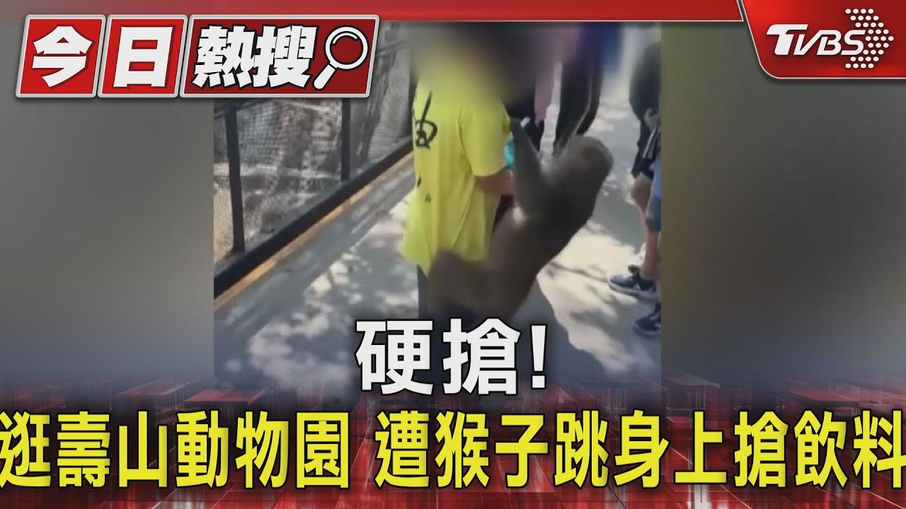 來硬的!逛壽山動物園 猴子當街搶飲料園方教應變方法
