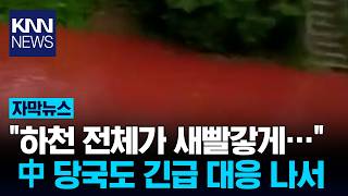 Download lagu '지구 멸망의 징조?' 공포 눈 뜨니 핏빛 된 강물 '발칵' / KNN mp3 Download lagu '지구 멸망의 징조?' 공포 눈 뜨니 핏빛 된 강물 '발칵' / KNN mp3