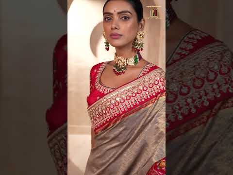 M.N MN 11004 (A to D) Premium Pure Kanjivaram Patola Saree Collection – product video thumbnail