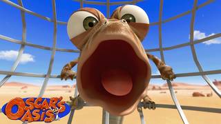 Oscar's Fan Time | Oscar's Oasis Kids Cartoons