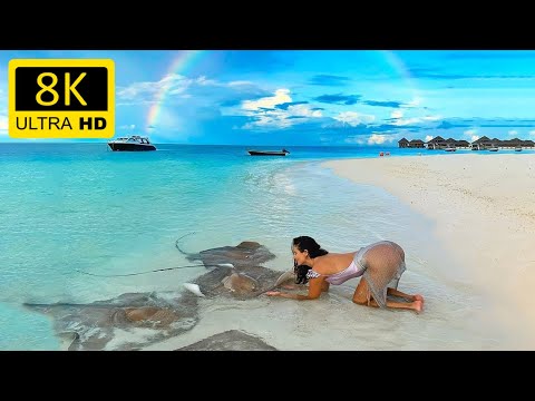 Chicago Documentary Travel | 8K Relaxing Music Videos | 8K Video