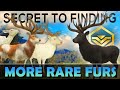 The SECRET To Finding WAY MORE RARES Call Of The Wild