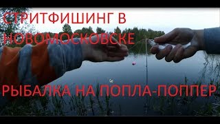 Клев рыбы на завтра в новомосковске