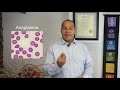 Biomagnetism and Beyond Training Seminar USA Mar 11th15th, 2020