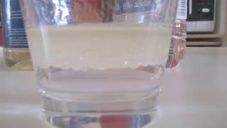 1ère ES/L émulsions (Mélange huile et vinaigre)