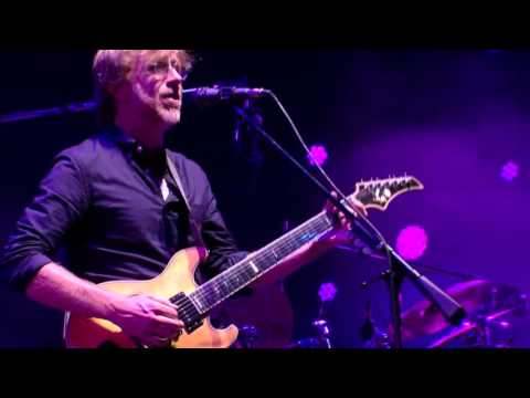 download lagu mp3 mp4 Phish Shade Lyrics, download lagu Phish Shade Lyrics gratis, unduh video klip Phish Shade Lyrics