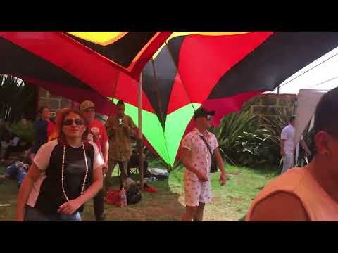 Fungus Funk - The power Of Now @IndepenDance Festival 2022 By CMYK- Music Live Edo. de México.