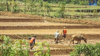 Download lagu CIANJURAN - SARAKAN PANGBALIKAN (ANA LESMANAWATI) mp3 Download lagu CIANJURAN - SARAKAN PANGBALIKAN (ANA LESMANAWATI) mp3