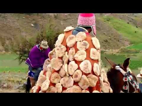 año nuevo 2016 aymara la paz prov. camacho  humanata comunidad purapurani