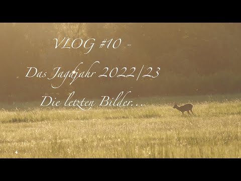 VLOG #10 - Das Jagdjahr 2022/23 - Die letzten Bilder... #jagen #hunting #Drückjagd