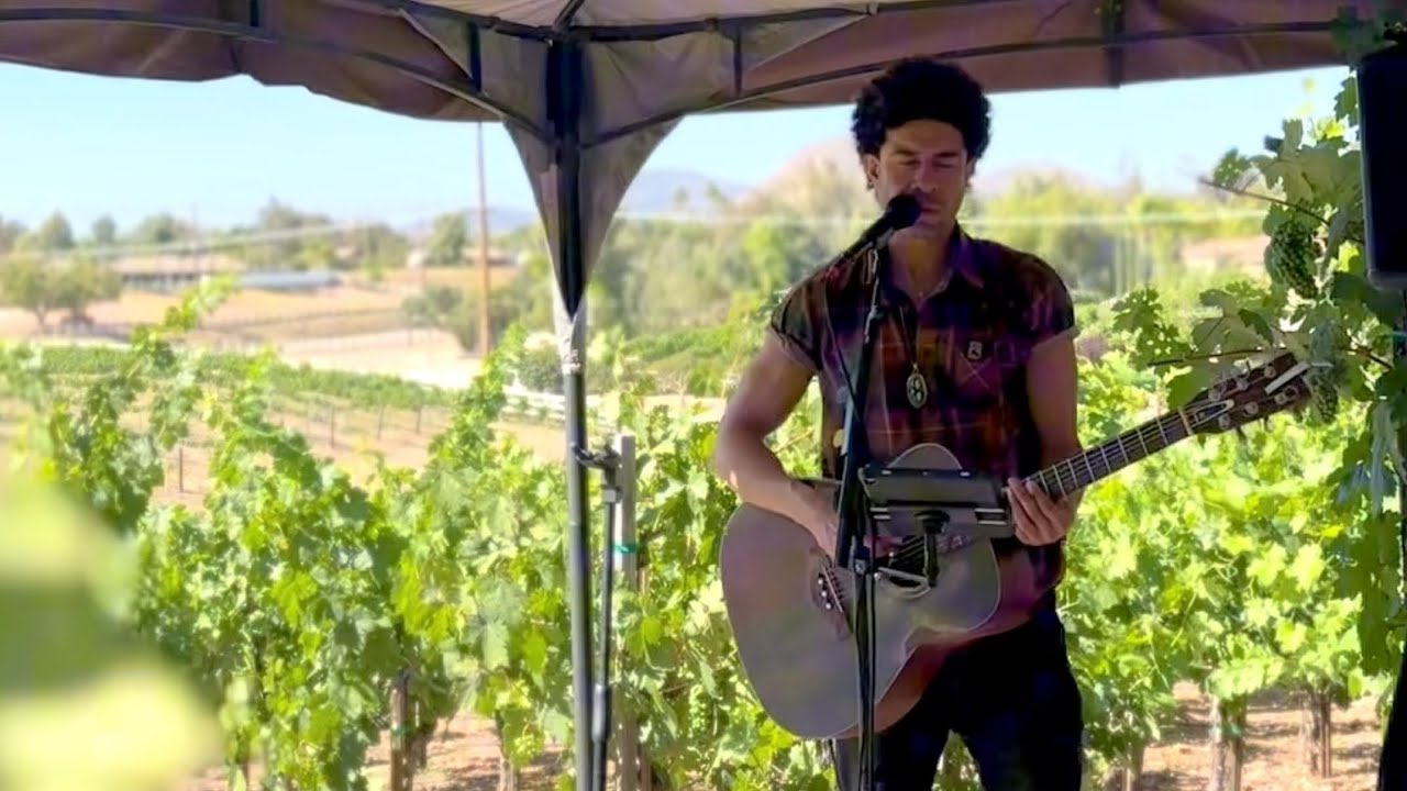 Promotional video thumbnail 2 for Acoustic Performer