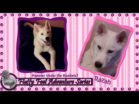 The Monster is Under the Blankets?