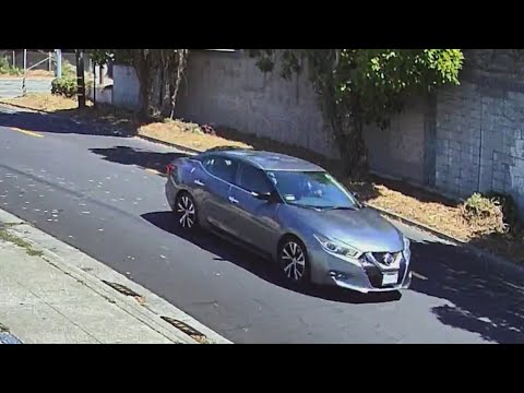 Suspect At Large