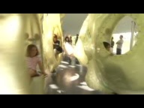 A new kind of carousel, one with fiberglass fish instead of wooden horses, opens in lower Manhattan`