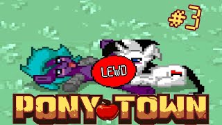 ponytown nutshell