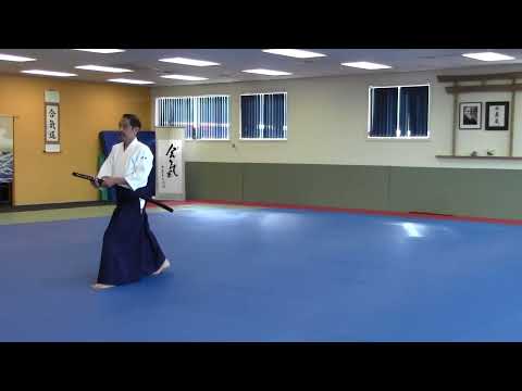 Iaido Demonstration by Hideo Numata Sensei, July 2016, Wellington, New Zealand.