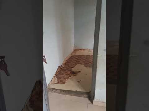 Mini Flat To Let at Off Governor's Road, Ikotun
