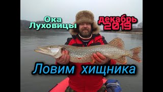 Что клюет на оке у луховиц