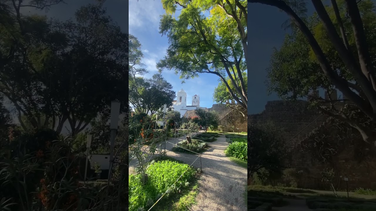 YouTube Short thumbnail