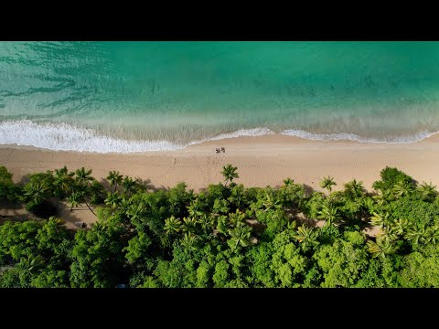 La Martinique - Coeur des Caraïbes                                   Cinematic Travel Video & Drone