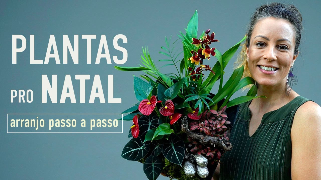ARRANGEMENT step by step: ORCHID, chamedorea and anthurium in CHRISTMAS DECORATION