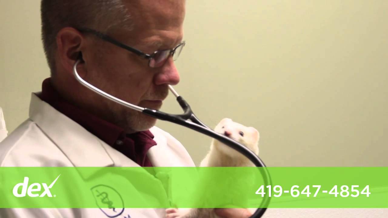 Amanda Animal Hospital