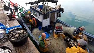 Sant Carles de la Ràpita