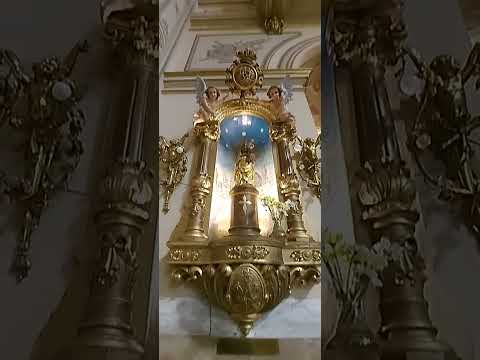 BASILIKA DES HEILIGEN JOSEF VON FLORES UND PLATZ GENERAL PUEYRREDÓN („Platz Flores“), 220 JAHR