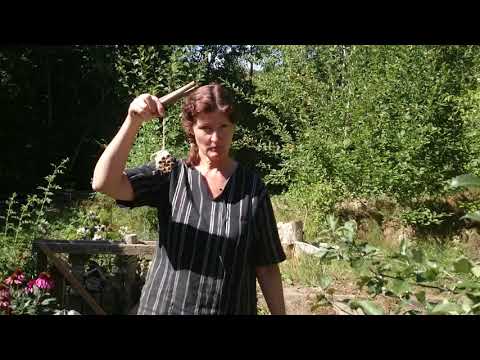 Fixa trädgården så pollinerarna trivs.