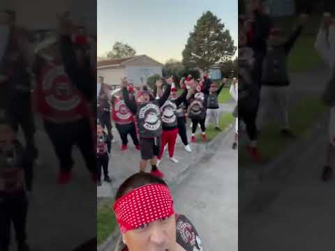 MIGHTY MONGREL MOB