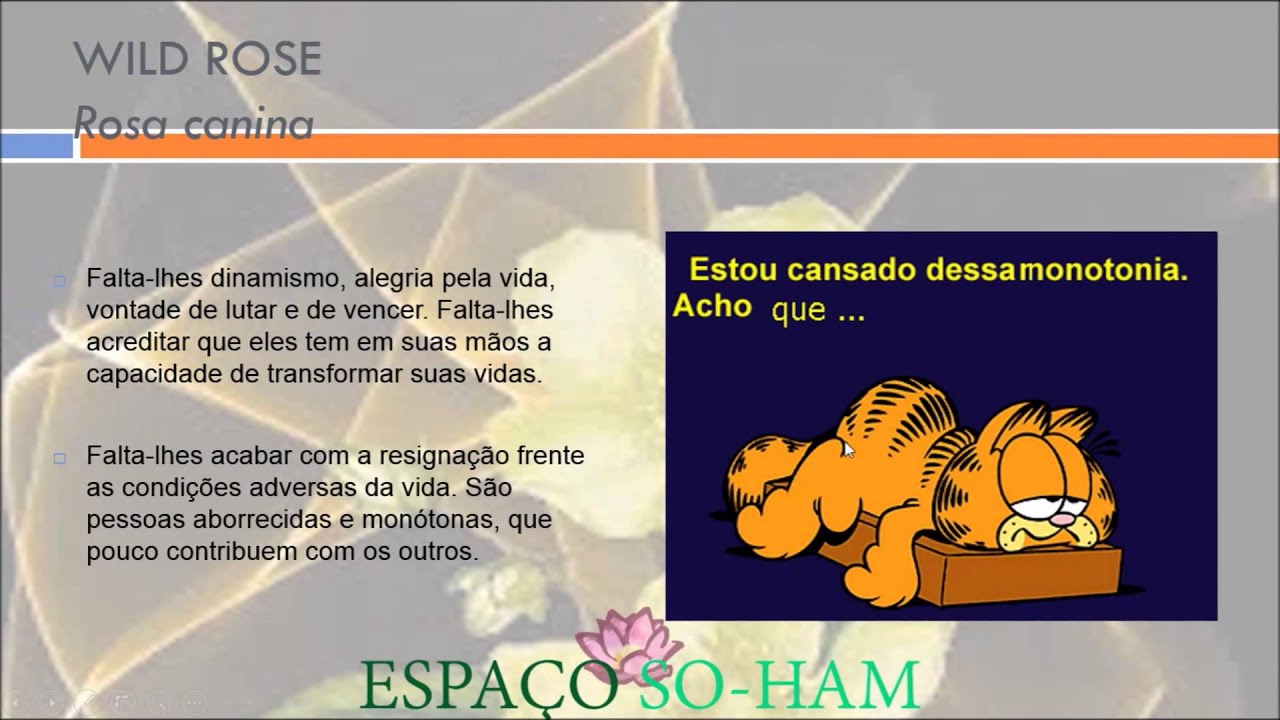 CURSO LIVRE EAD/ON LINE DE FLORAIS DE BACH Módulo II cap 12