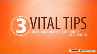 Pet Training