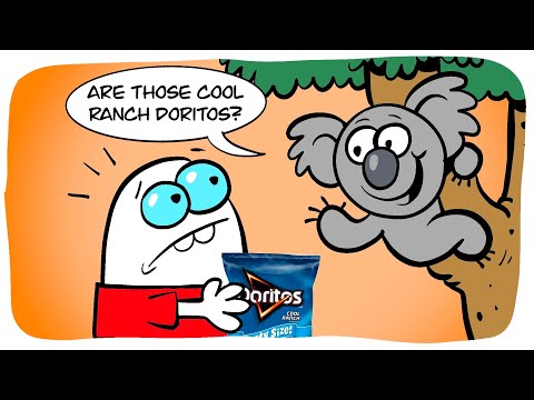 Koala Wants Cool Ranch Doritos