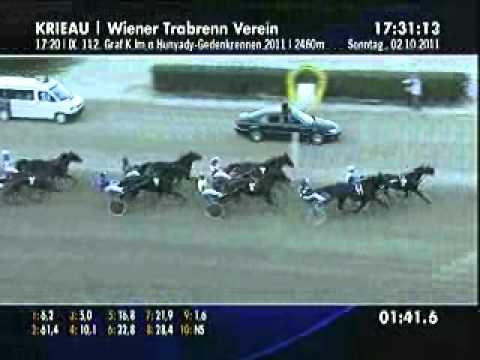 112. Graf Kalman Hunyady 2011 -Venividivici Joe