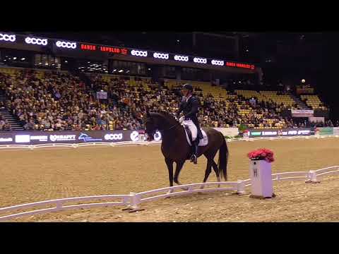 Don Olymbrio Grand Prix