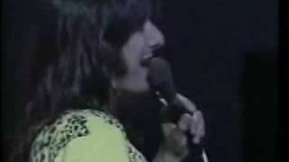 Journey 1981 Dead Or Alive