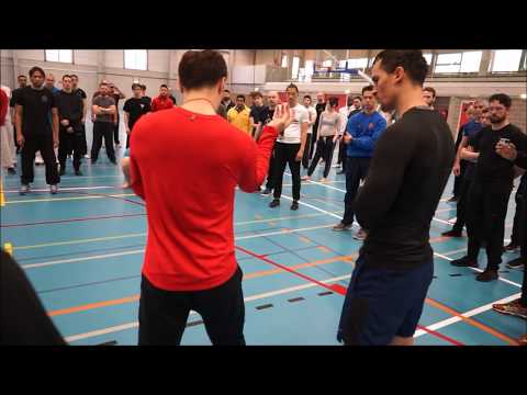 TG Wave M-H line - DK Yoo