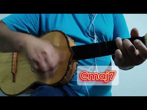 Un beso a medias (El bebeto, Vicente Fernández Jr y Majo Aguilar) - Vihuela (tutorial)