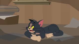 Tom and Jerry Show S 01 E 10 B - ONE OF A KIND LOO