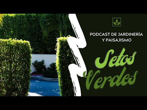 # 151 - Arbustos para setos o cercos verdes