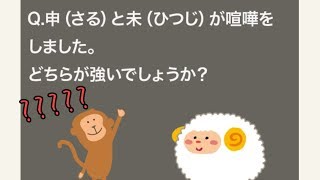 【クイズ実況】大人のなぞなぞ! Q46~Q50 どっちでもない???