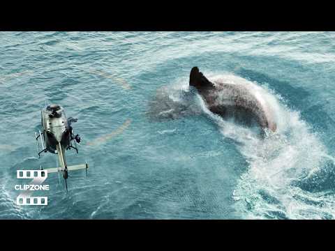 The Final Shark Battle