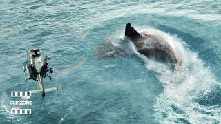 The Final Shark Battle