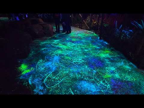 Pandora – The World of Avatar Land at Disney's Animal Kingdom - Nighttime Walkthrough & Rides [4K]
