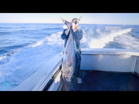 INSANE Bluefin Tuna Fishing!