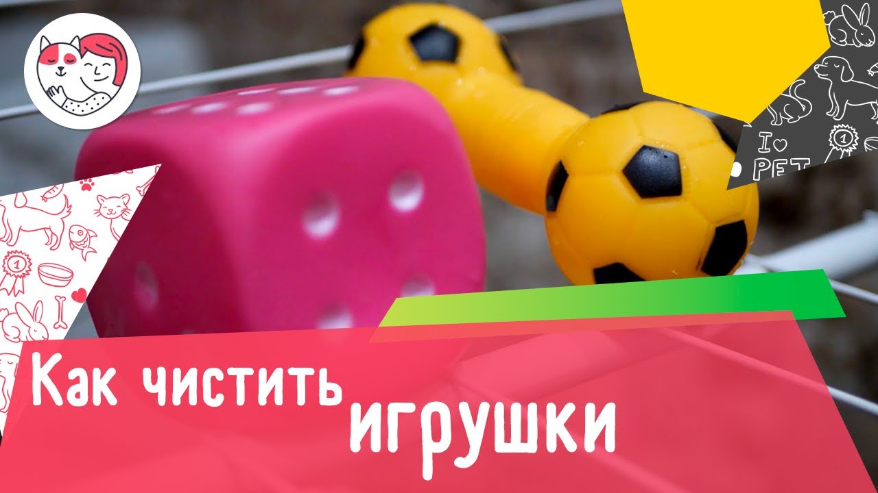 Как правильно чистить игрушки собаки: 4 совета