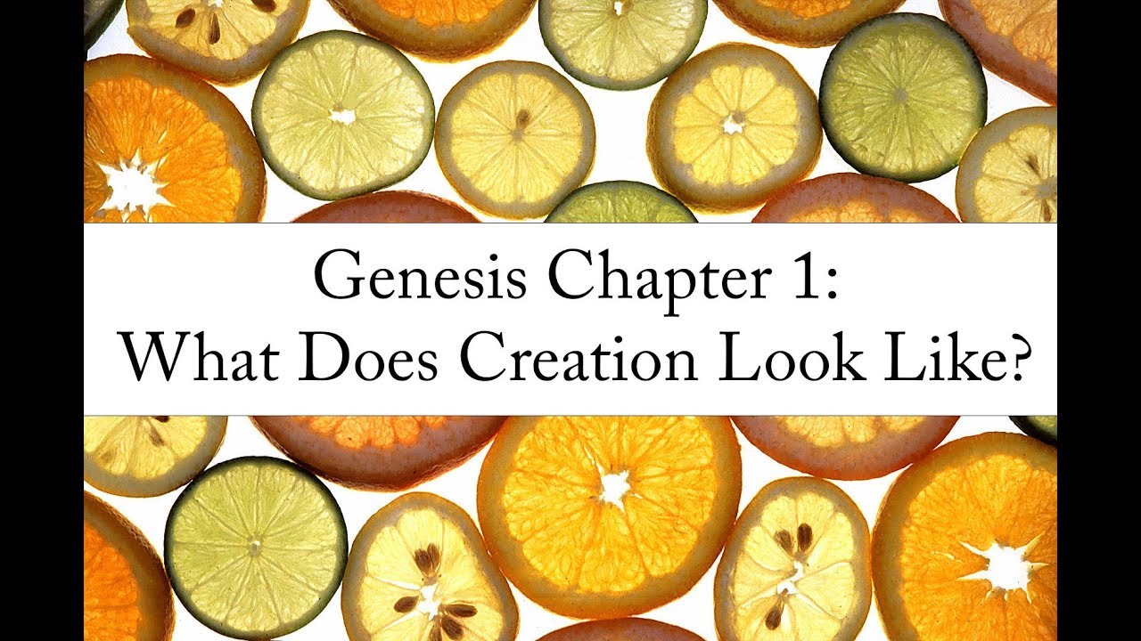 Genesis Chapter 1: What Does Creation Look Like?