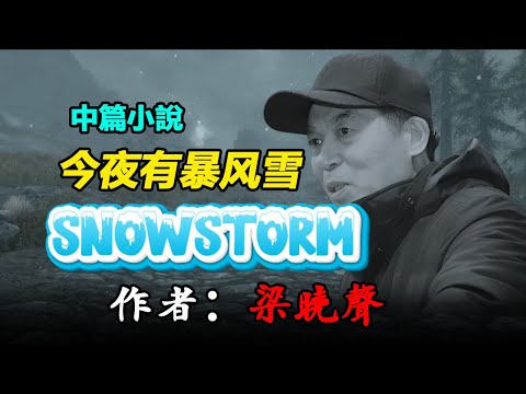 ❄️梁曉聲的中篇小說《今夜有暴風雪》，#听书 #聽書 #小說 #小说 #有声书 #有聲書 #有聲小說 #有声小说 #繁簡中文字幕 #雙語字幕 #双语字幕 #情感故事 #情感