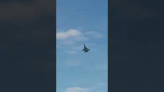 [DCS World] Su-33 Cobra Maneuver 2